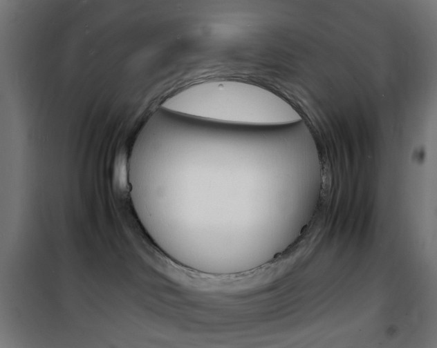 X0000101480046200807071253