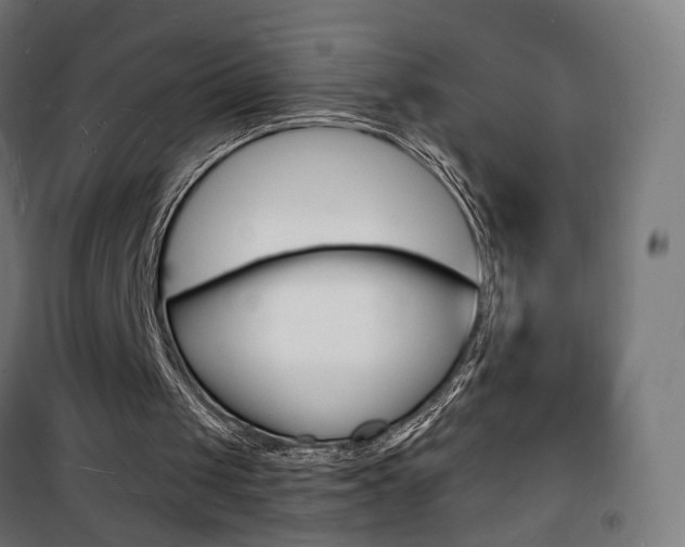 X0000101480049200807071253