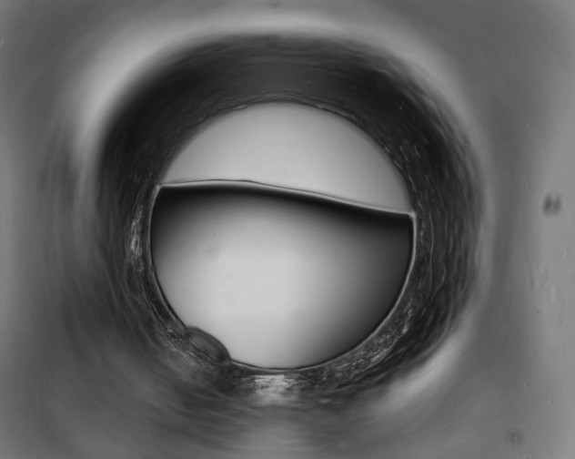 X0000101480050200807071253
