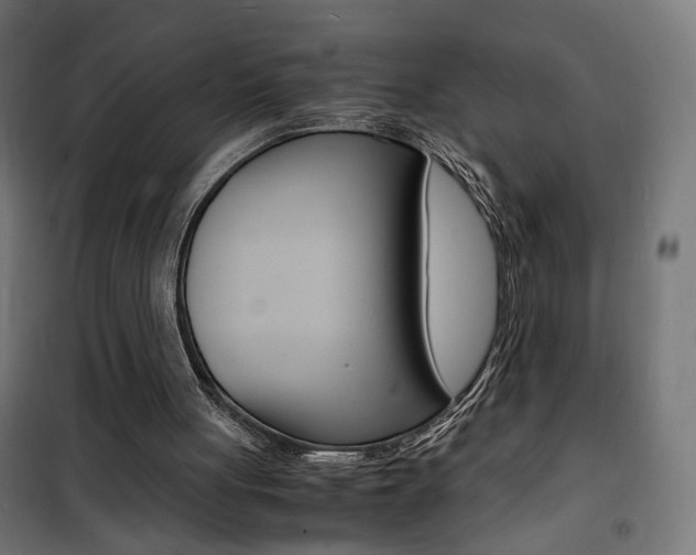 X0000101480051200807071253