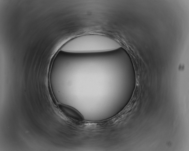 X0000101480052200807071253