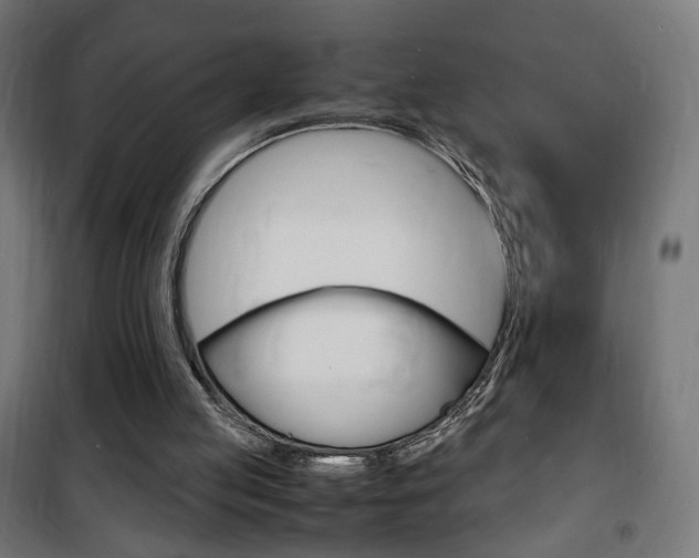 X0000101480053200807071253