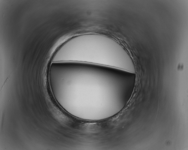 X0000101480054200807071253