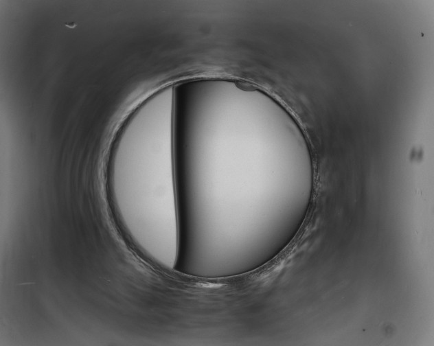 X0000101480055200807071253
