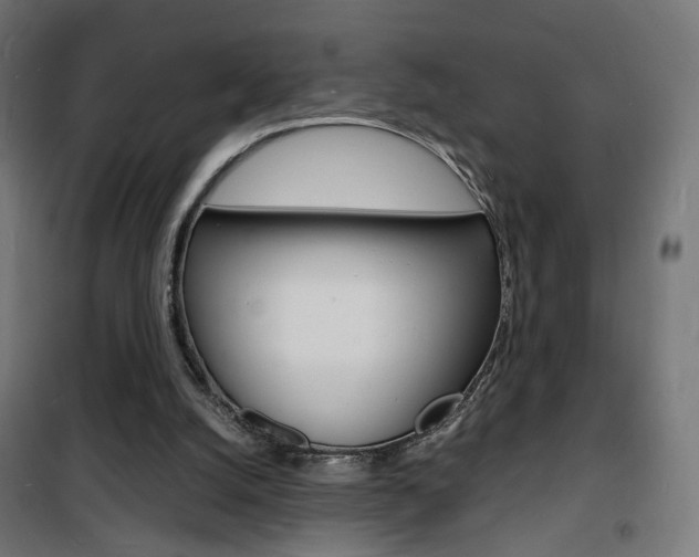 X0000101480056200807071253