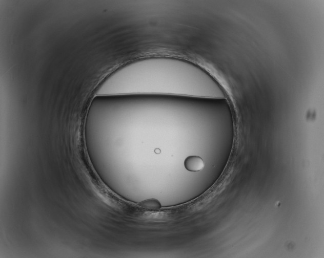 X0000101480057200807071253