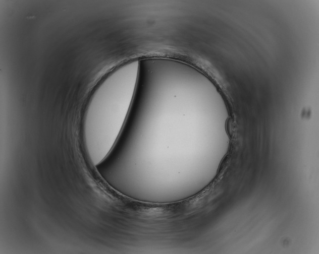 X0000101480058200807071253