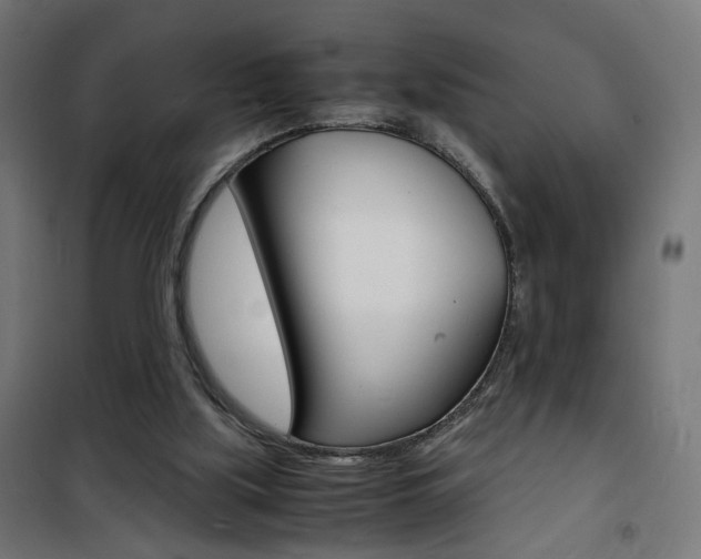 X0000101480059200807071253