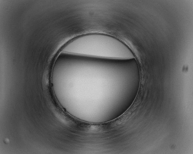 X0000101480060200807071253