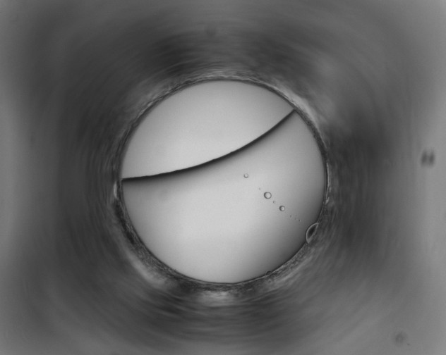 X0000101480061200807071253