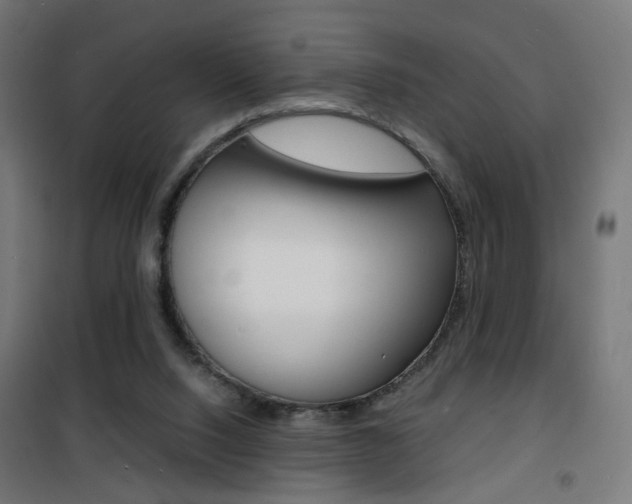 X0000101480064200807071253