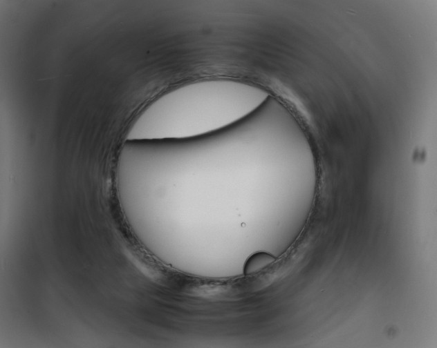 X0000101480065200807071253