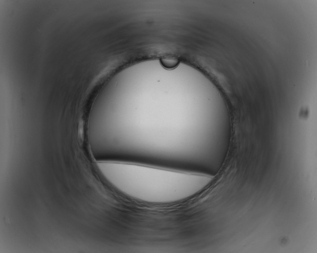 X0000101480067200807071253