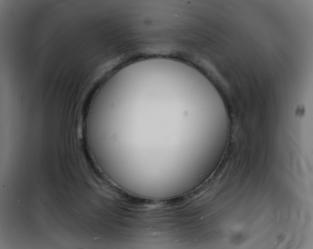 X0000101480068200807071253
