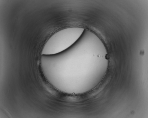 X0000101480069200807071253
