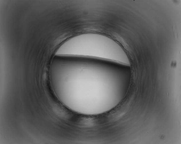 X0000101480071200807071253