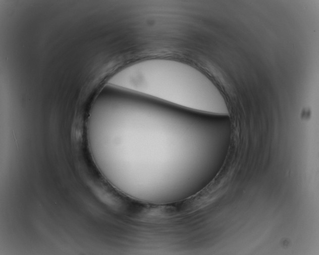 X0000101480072200807071253