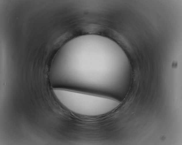 X0000101480073200807071253