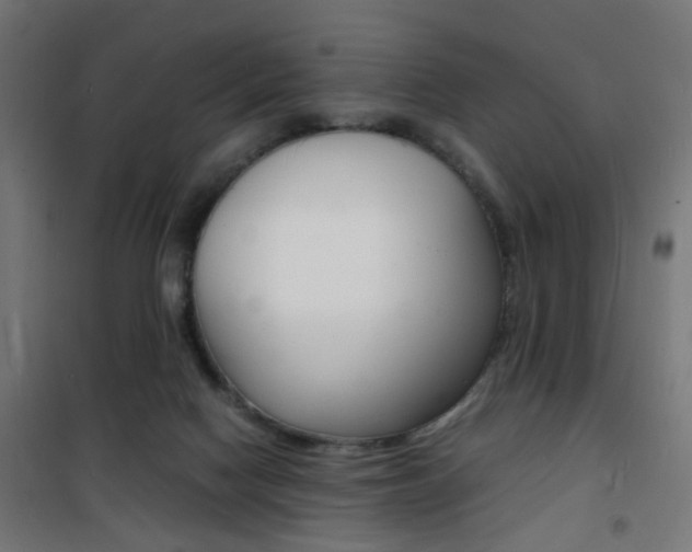 X0000101480074200807071253