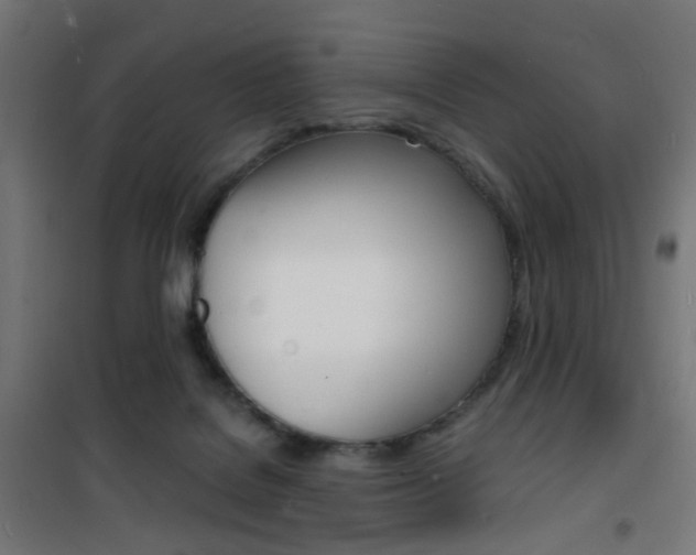X0000101480076200807071253