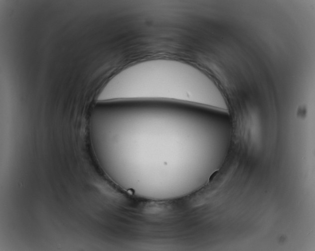 X0000101480077200807071253