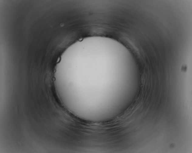 X0000101480079200807071253