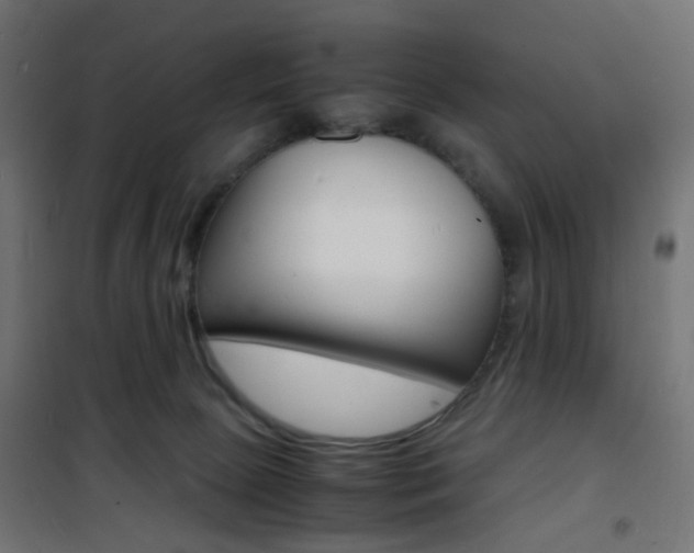 X0000101480081200807071253