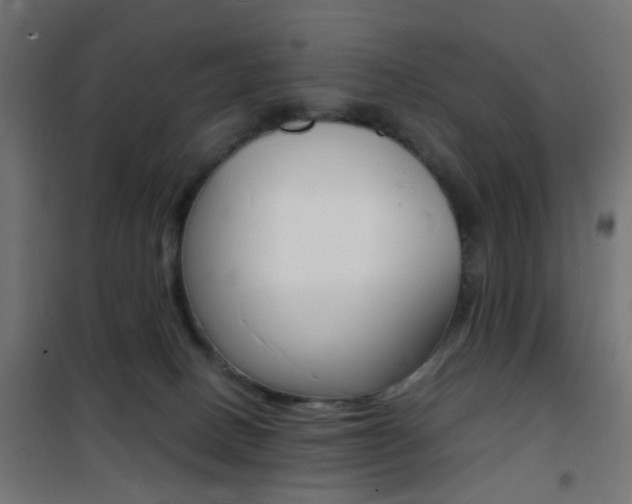X0000101480082200807071253