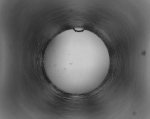 X0000101480083200807071253