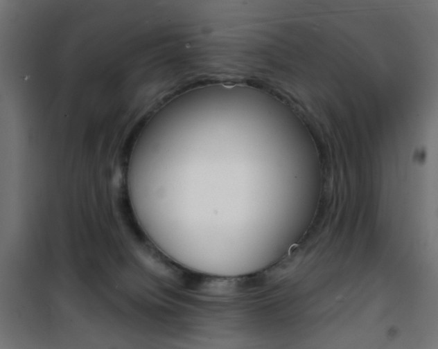 X0000101480084200807071253