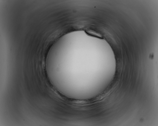 X0000101480085200807071253