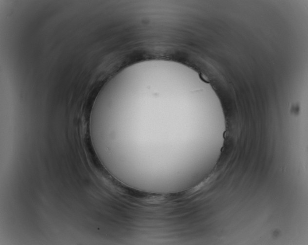 X0000101480086200807071253