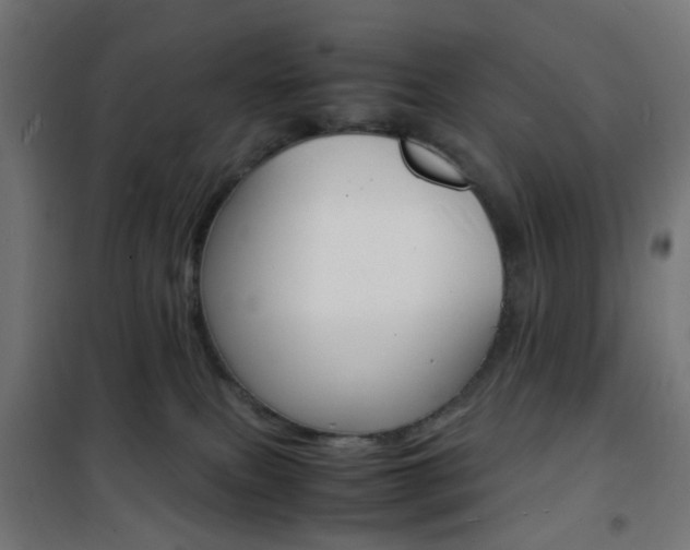 X0000101480087200807071253