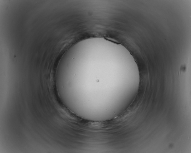 X0000101480088200807071253