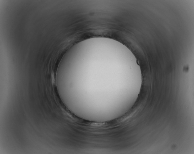X0000101480089200807071253