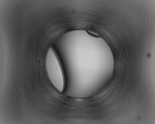 X0000101480091200807071253