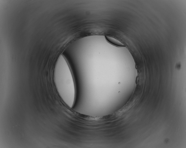 X0000101480093200807071253