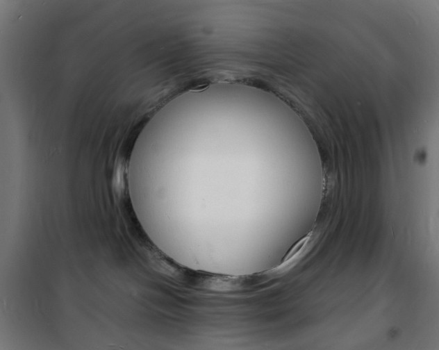 X0000101480094200807071253