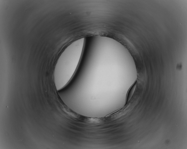 X0000101480095200807071253