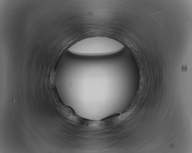 X0000101480096200807071253