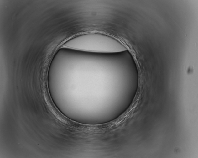 X0000101480097200807071253