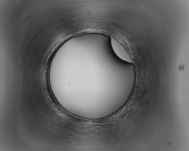 X0000101480098200807071253