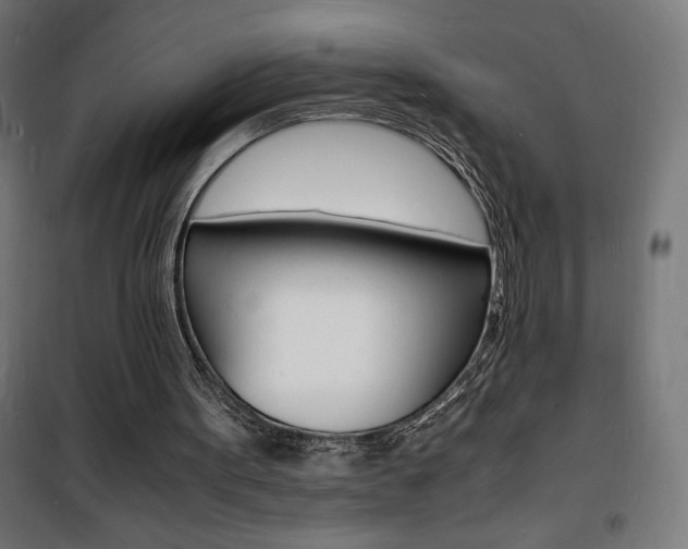 X0000101480099200807071253