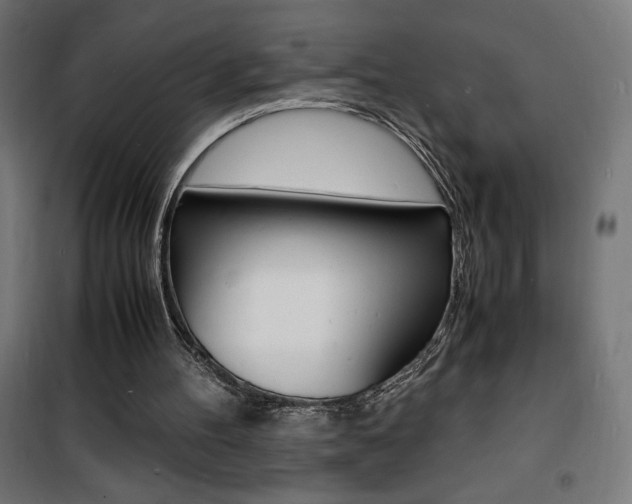 X0000101480100200807071253
