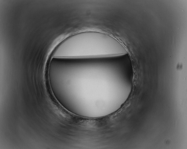 X0000101480104200807071252