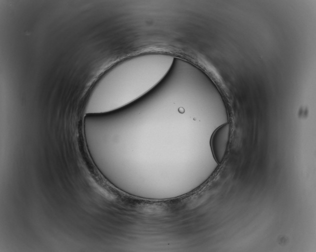X0000101480106200807071252