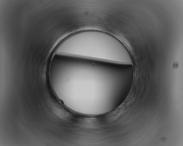 X0000101480108200807071252
