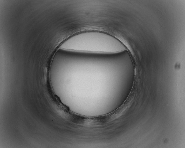 X0000101480109200807071252