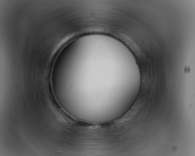 X0000101480112200807071252