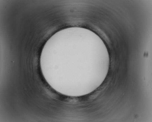 X0000101480113200807071252